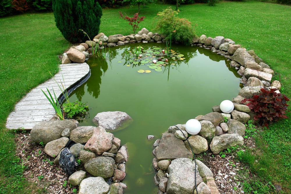 6 Health Benefits of Gardening